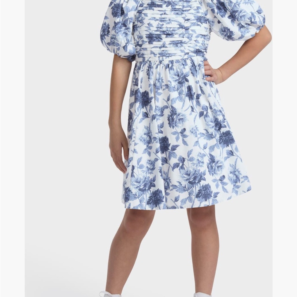 Abercrombie Kids Blue Floral Dress
